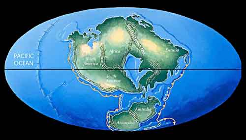 Do too much = boycott at home. Do too little = boycott abroad