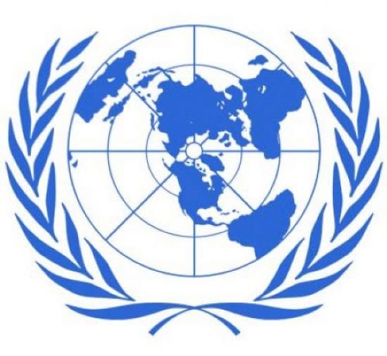 The United Nations: Change through Engagement