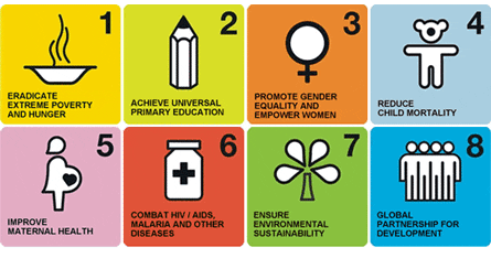 The Future of the Millennium Development Goals