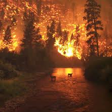 Climate Change: A National Security Threat
