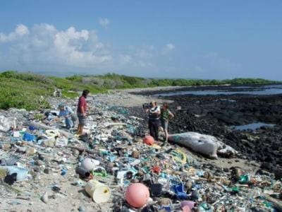 Global Ocean Commission: “Our Oceans Are in Decline”