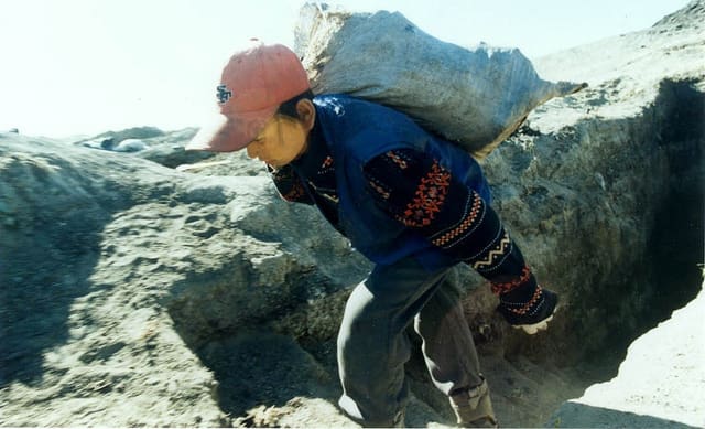 Let My Children Go: World Efforts to Eliminate the Worst Forms of Child Labor