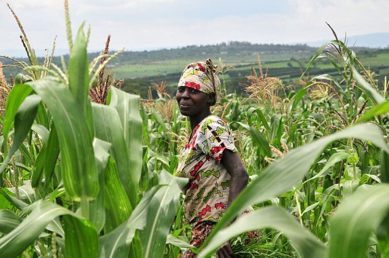 Sustainable Agriculture: One Way to Promote Food Security in Fragile Countries