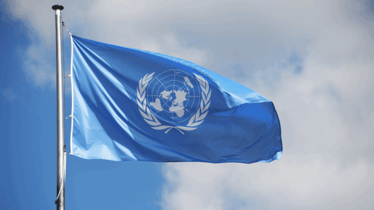 Can International Organizations Survive the Rightwing, Nationalist Onslaught?