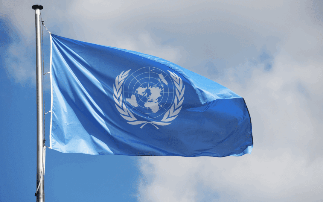 Can International Organizations Survive the Rightwing, Nationalist Onslaught?